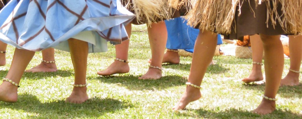 Hula Skirt Adult, Tourism